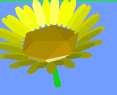 still from animation of spinning sunflower