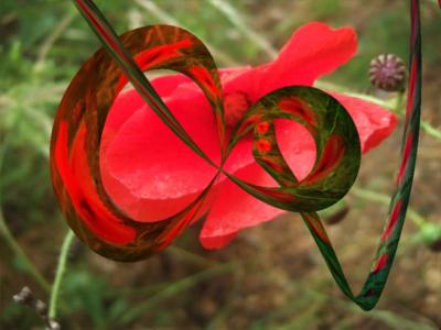 poppy-blotch ... Click to get back to small image
