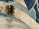 Hasegawa and Hokusai - Click here to go back to Thumbnails page 1