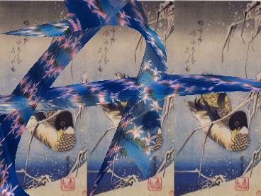 Hiroshige Cattleya blend ... Click for large image
