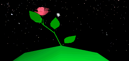 Asteroid with rose
